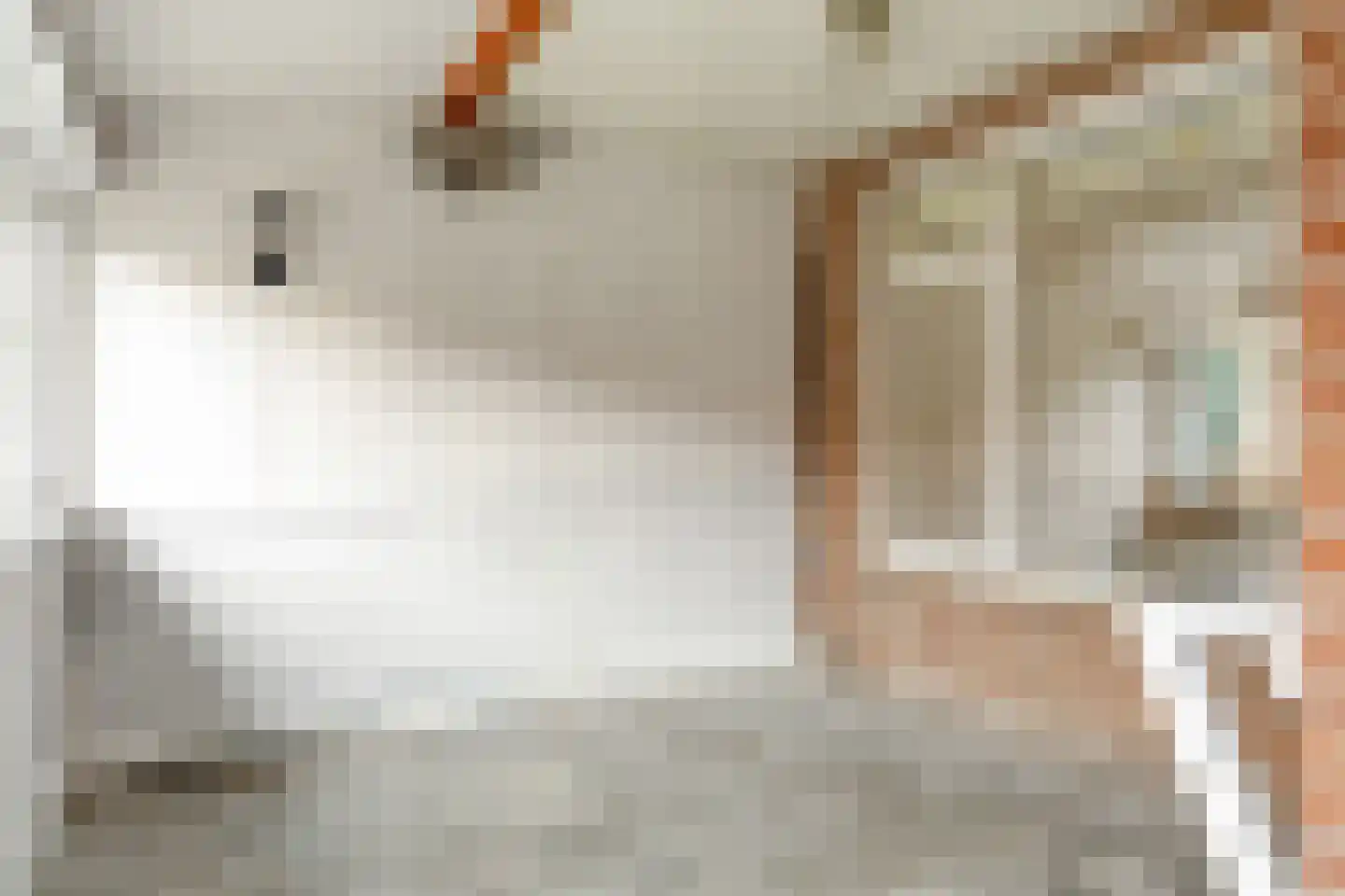 Hendrick de Keyserstraat 25 Almelo thumbnail 15
