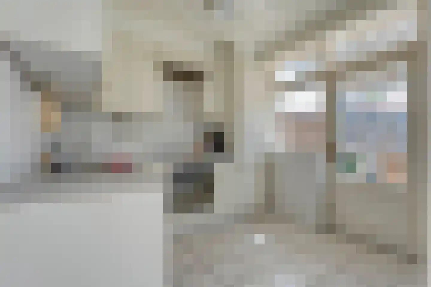 Hendrick de Keyserstraat 33 Almelo thumbnail 10
