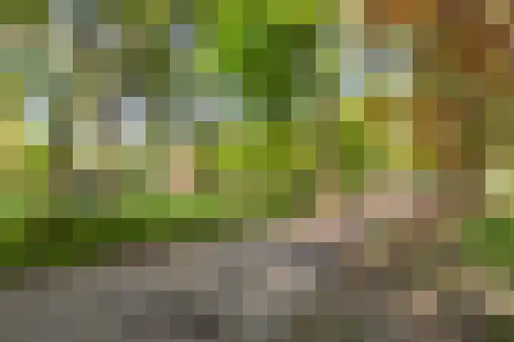 Hendrick de Keyserstraat 42 Utrecht thumbnail 50