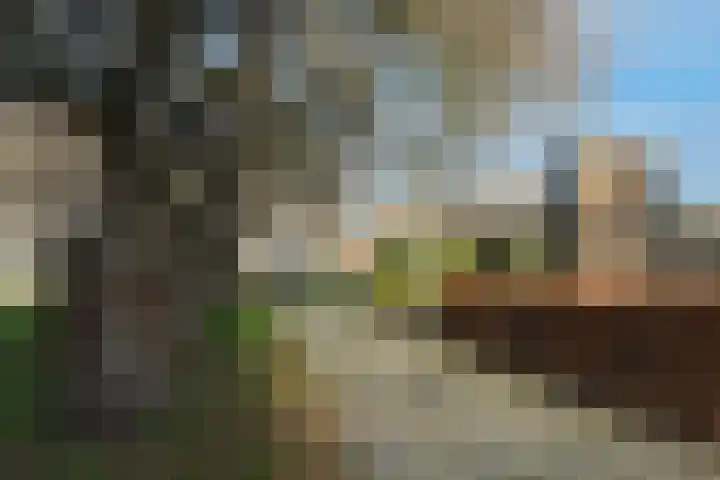 Hendrick de Keyserstraat 6 Almelo thumbnail 22