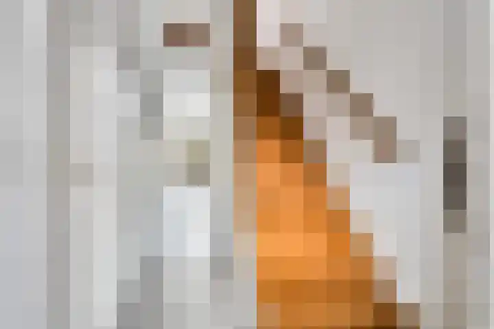 Hendrick de Keyserstraat 62 Utrecht thumbnail 4