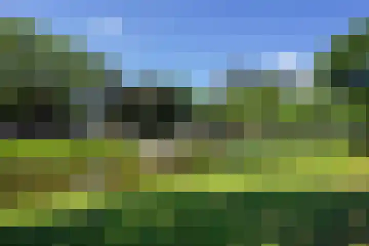 Hendrick de Keyserweg 147 Delft thumbnail 38