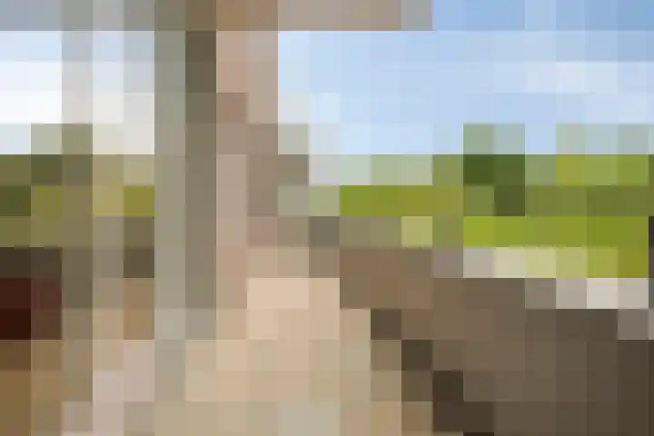 Hendrick de Keyserweg 57 Delft thumbnail 23
