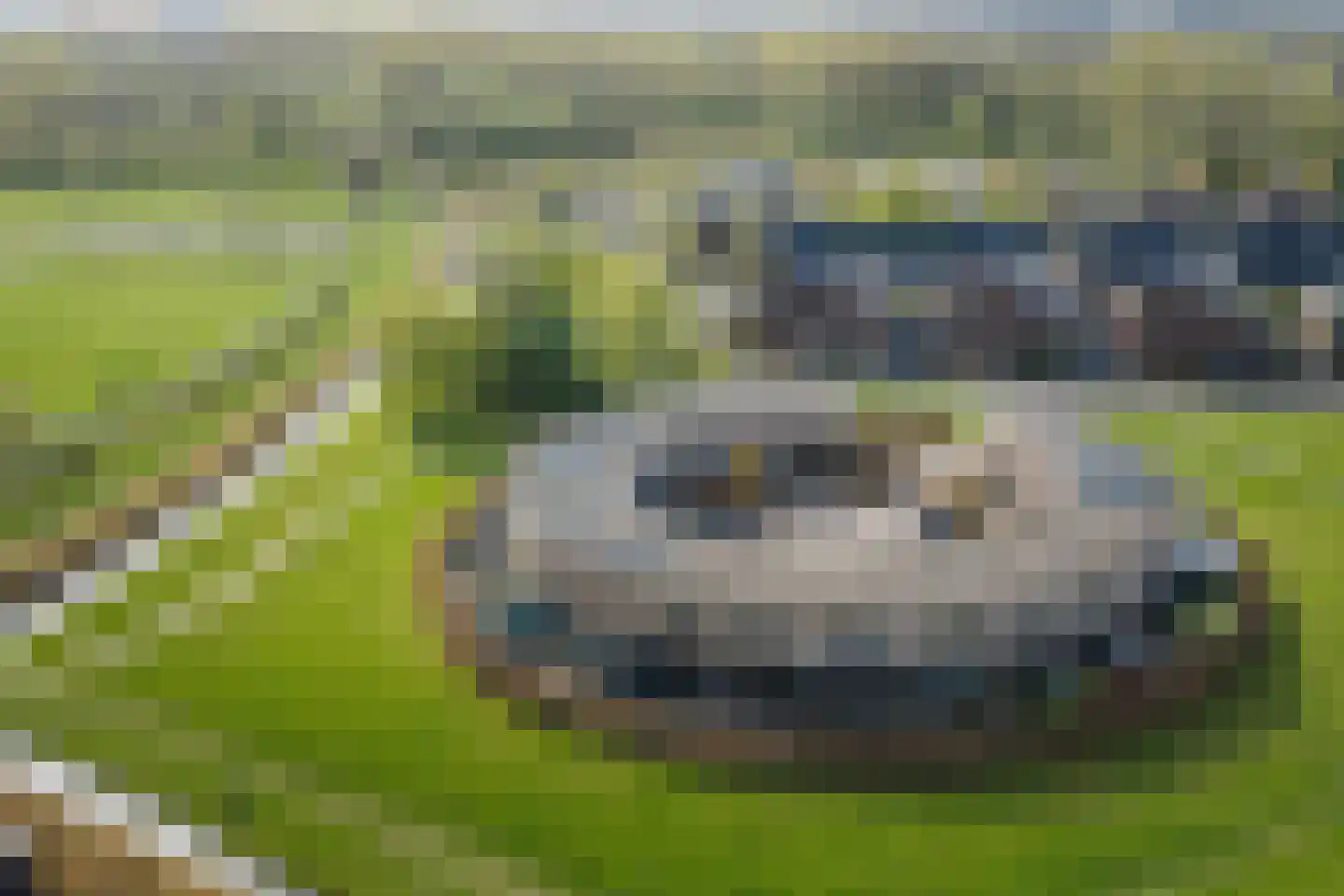 Hendrick Goltziusstraat 9 Deventer