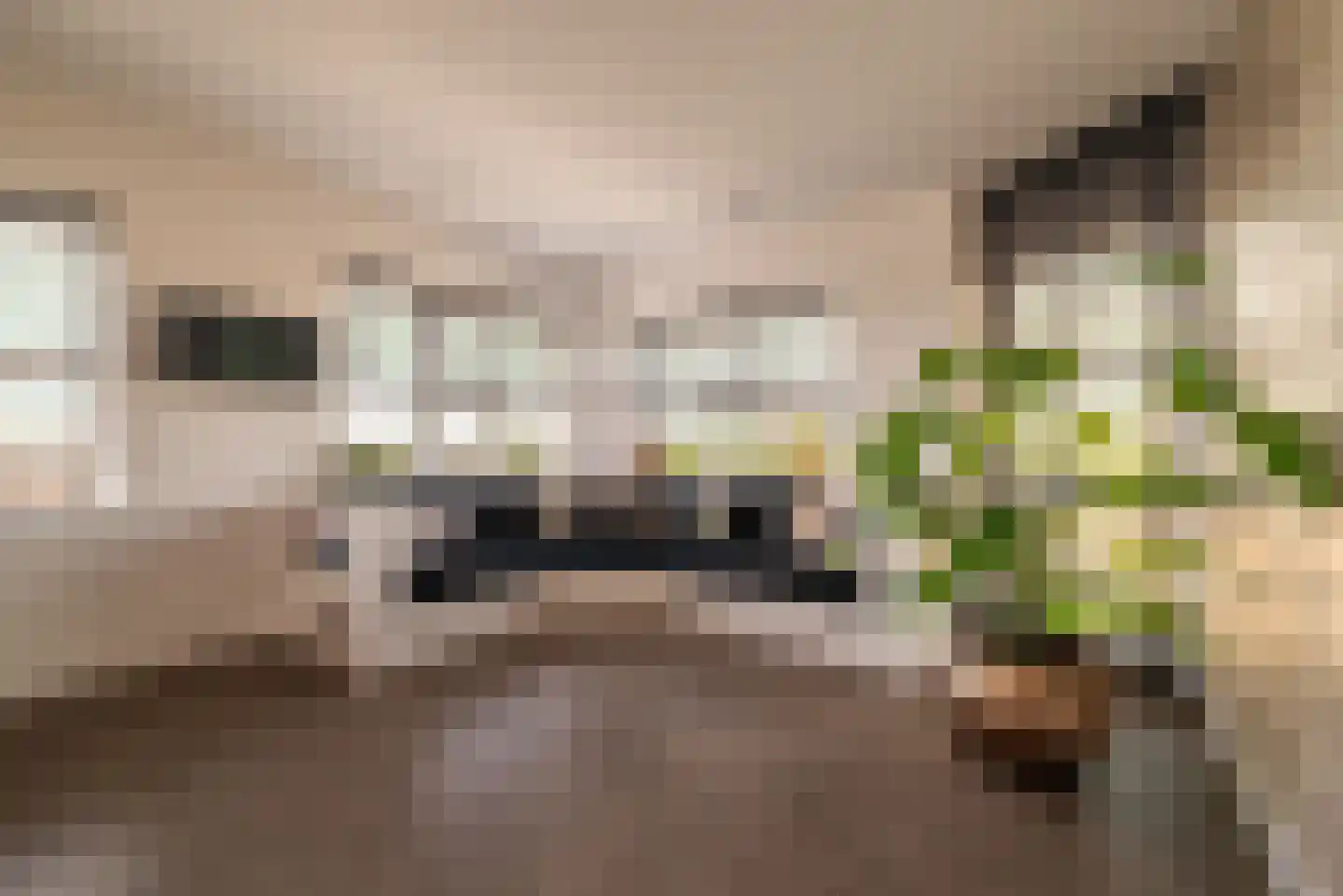 Hendrick Rietschoofplein 19 Zaandam thumbnail 14