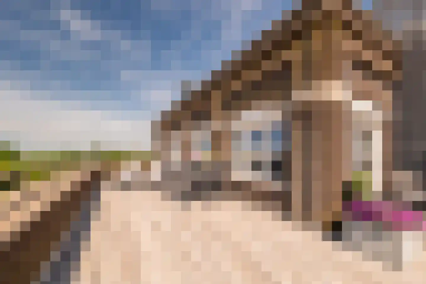 Hendrick Rietschoofplein 19 Zaandam thumbnail 21