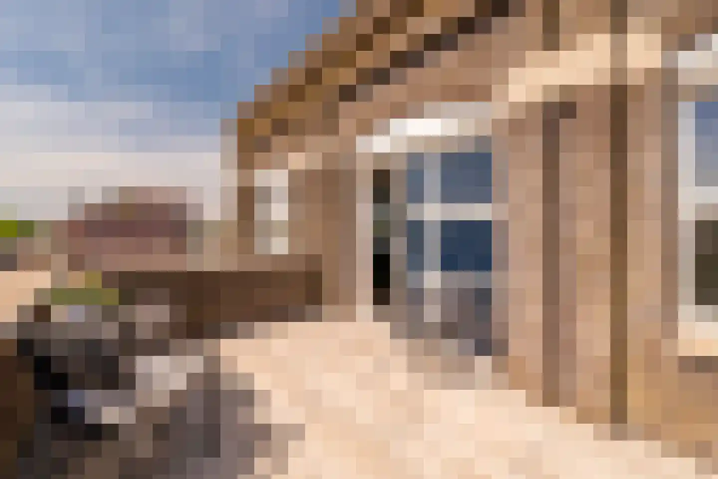 Hendrick Rietschoofplein 19 Zaandam thumbnail 29