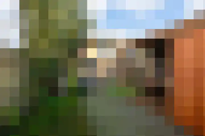Hendrick van Avercampweg 47 Ouderkerk aan de Amstel thumbnail 15