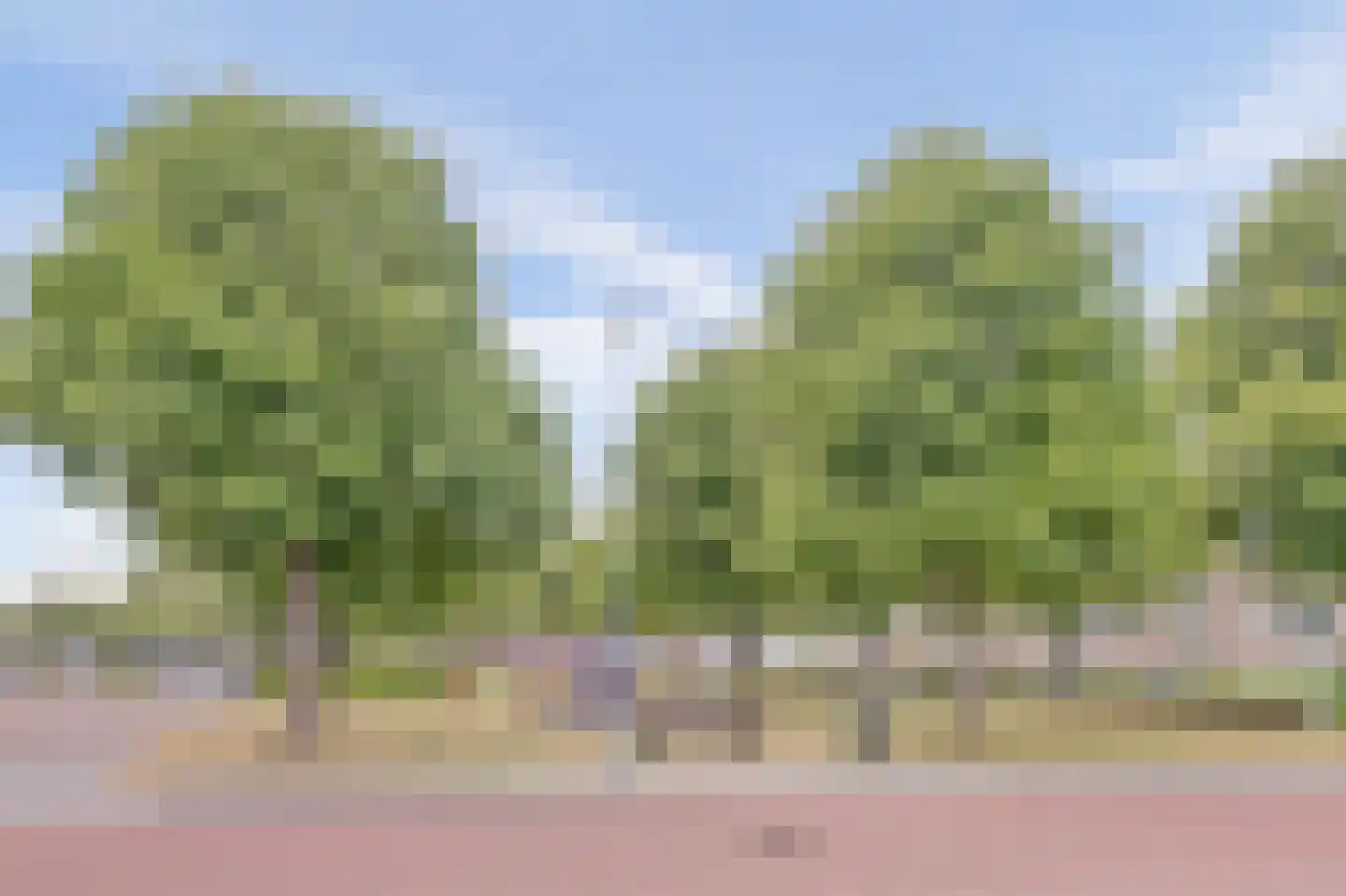 Hendrick Vroomlaan 22 Vlissingen thumbnail 18