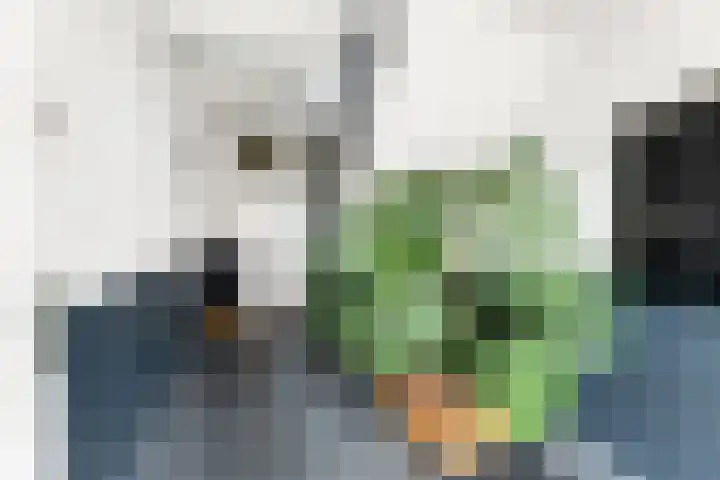 Hendrick Vroomlaan 3 Vlissingen thumbnail 6