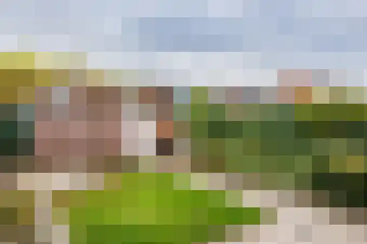 Hendrick Vroomlaan 48 Vlissingen thumbnail 19