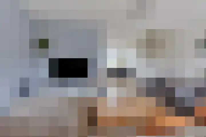 Hendricus de Goedeweg 6 Middenbeemster thumbnail 10