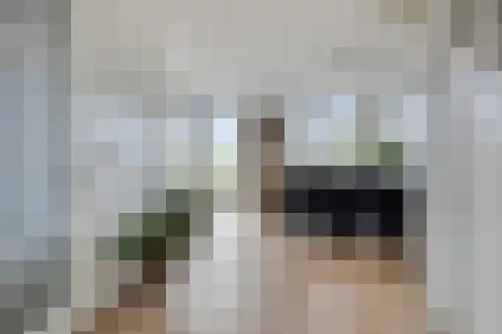 Hendricus de Goedeweg 6 Middenbeemster thumbnail 12