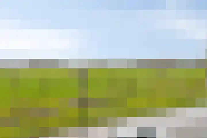 Hendricus de Goedeweg 6 Middenbeemster thumbnail 30