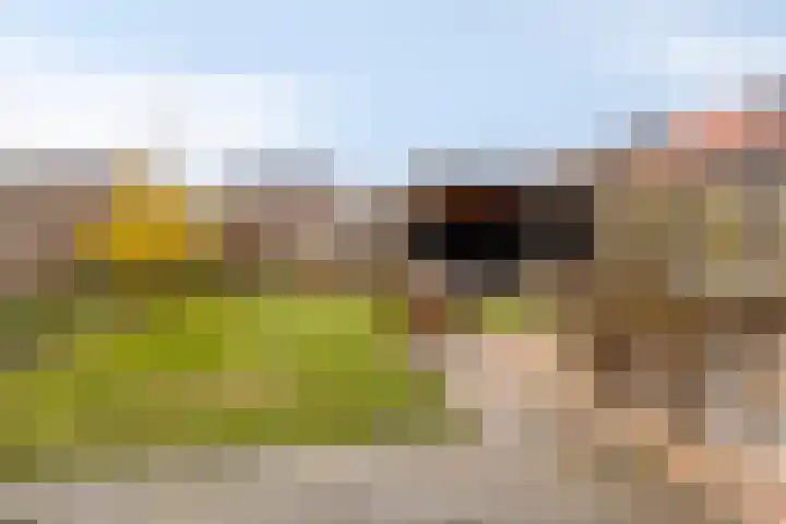 Hendricus de Goedeweg 6 Middenbeemster thumbnail 42