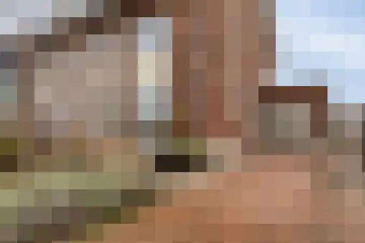 Hendricus de Goedeweg 6 Middenbeemster thumbnail 46