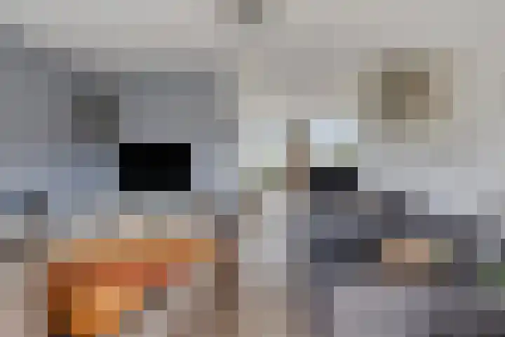 Hendricus de Goedeweg 6 Middenbeemster thumbnail 8