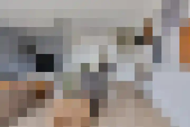 Hendricus de Goedeweg 6 Middenbeemster thumbnail 9