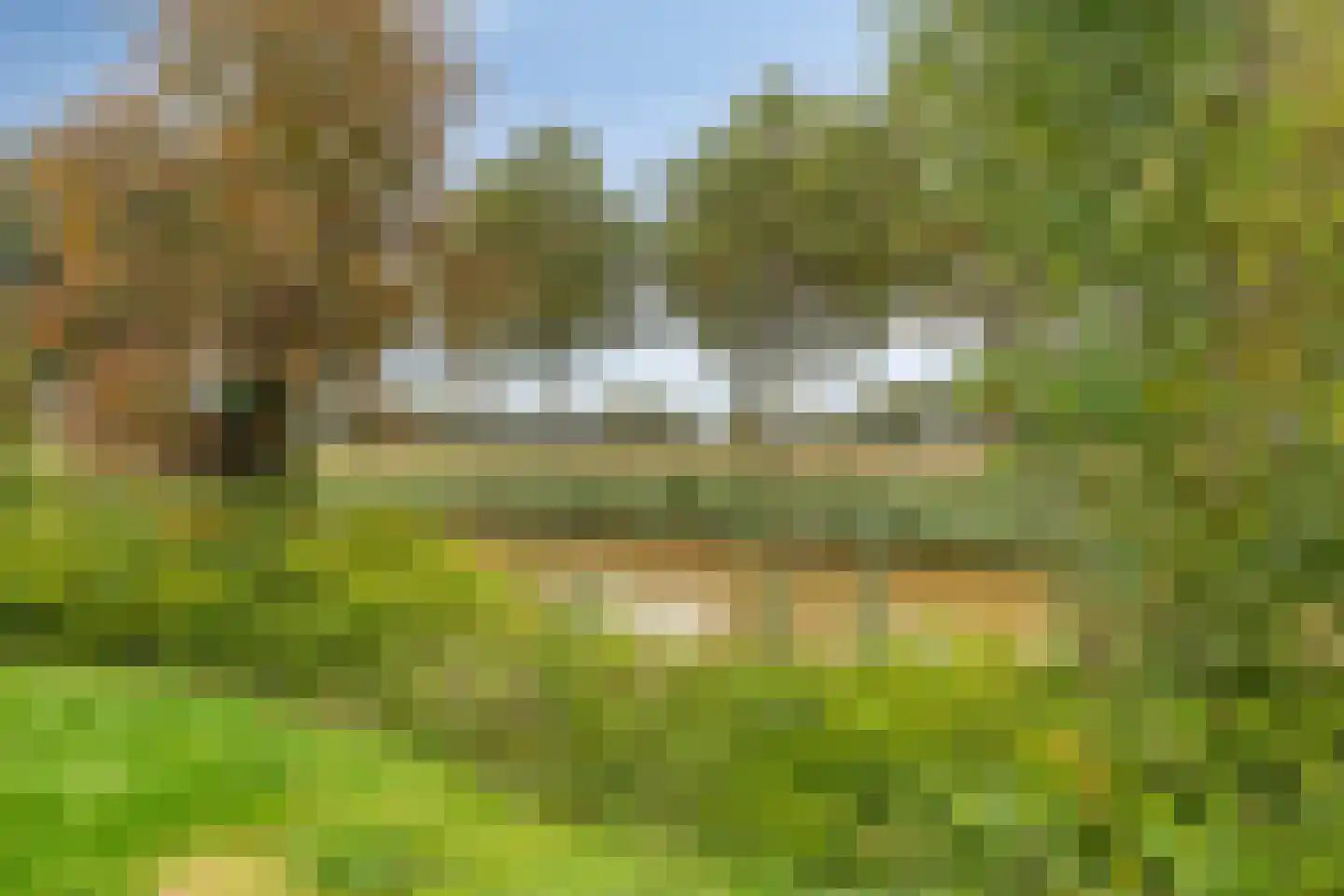 Hendricus Krijthestraat 13 Coevorden thumbnail 34