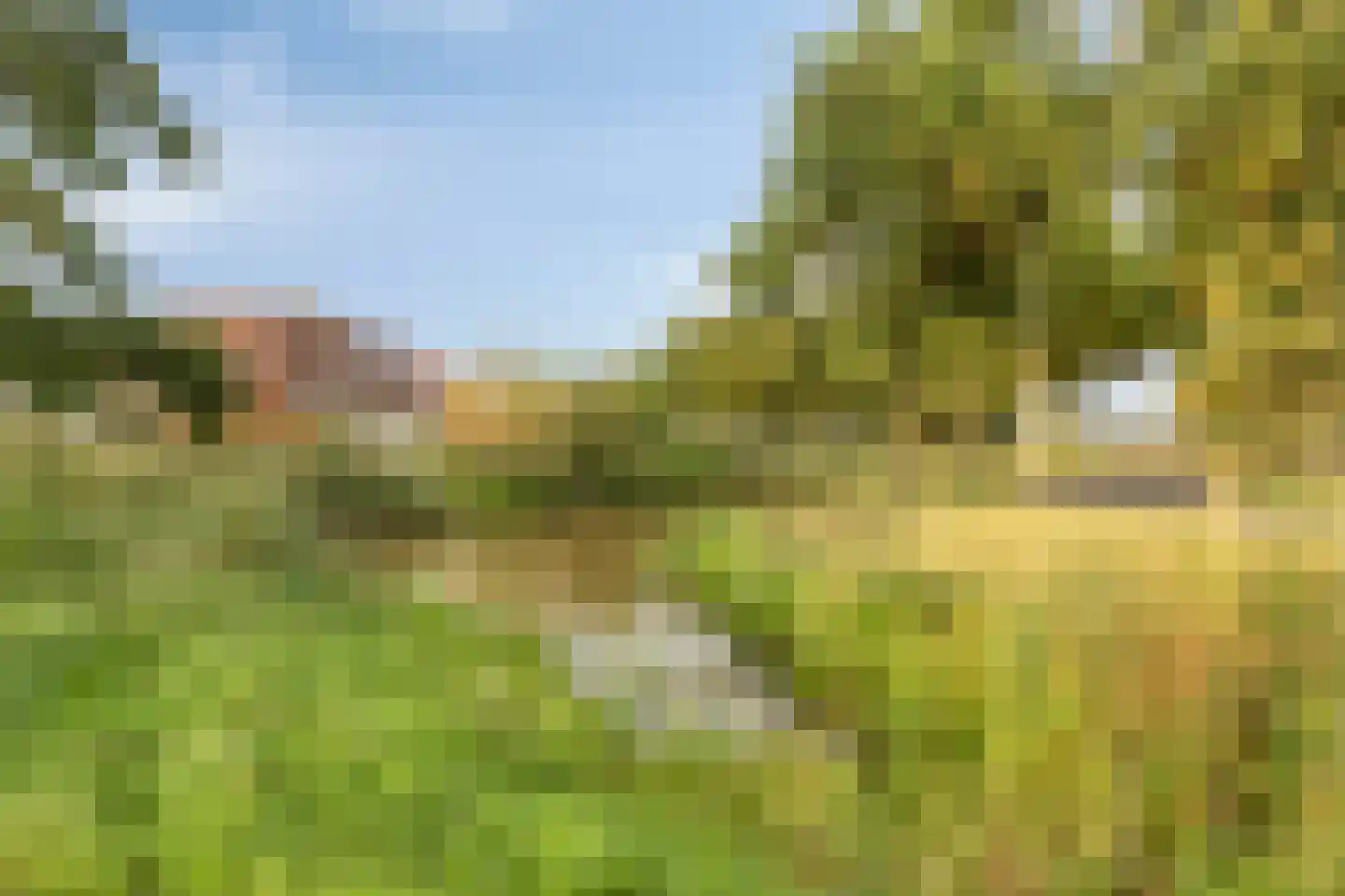 Hendricus Krijthestraat 13 Coevorden thumbnail 4