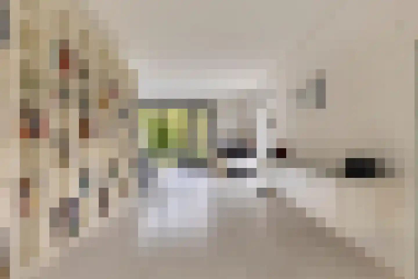 Hendricus Krijthestraat 13 Coevorden thumbnail 8