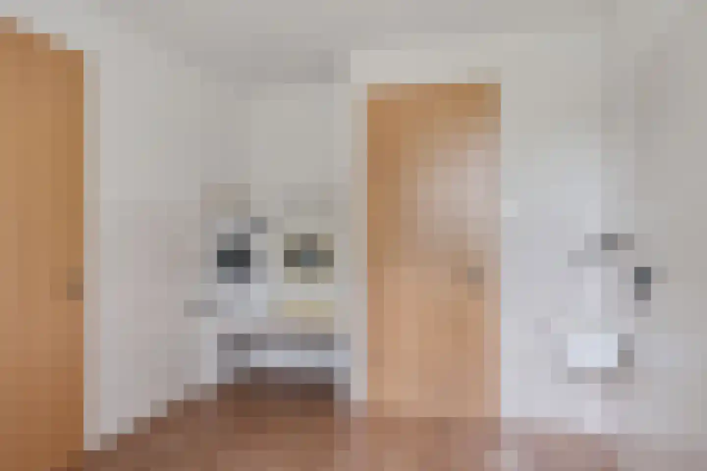 Hendricus Krijthestraat 15 Coevorden thumbnail 13