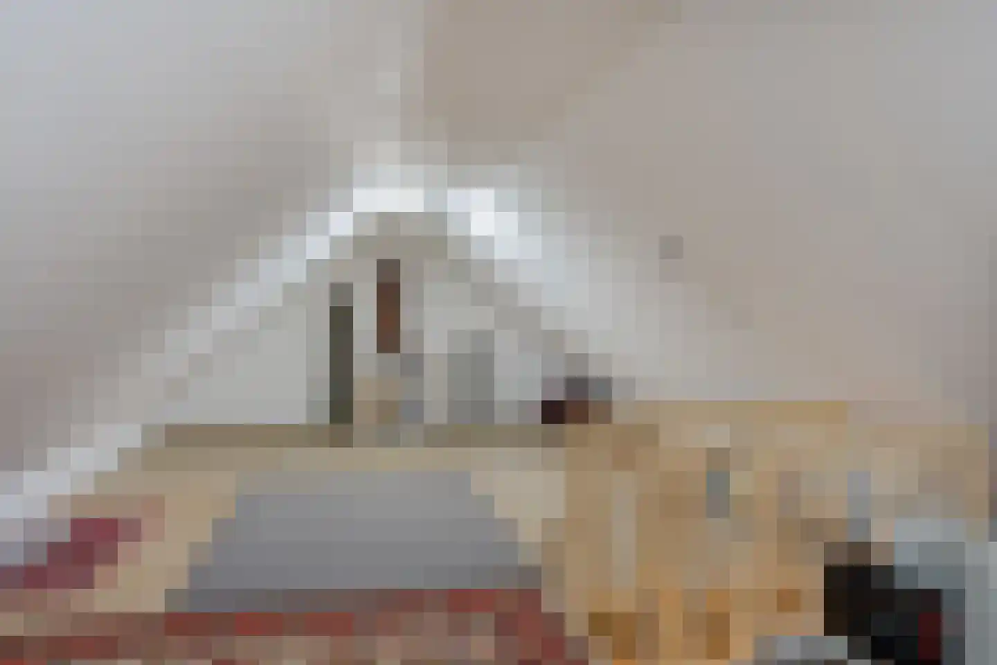 Hendricus Krijthestraat 15 Coevorden thumbnail 39