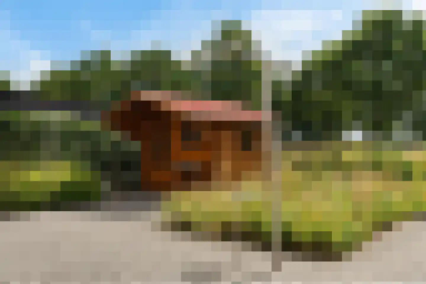 Hendricus Krijthestraat 15 Coevorden thumbnail 46