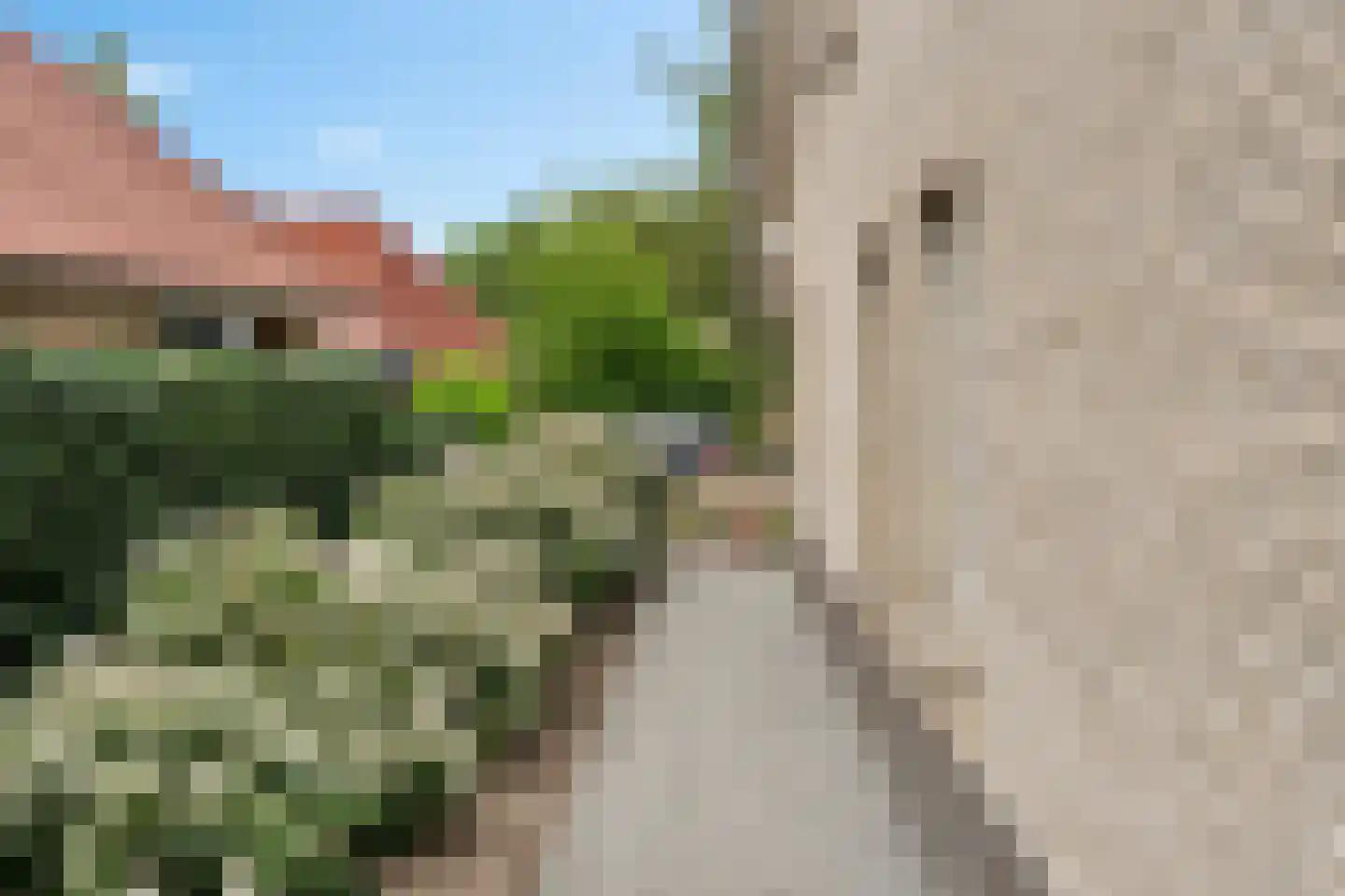 Hendricus Krijthestraat 15 Coevorden thumbnail 51