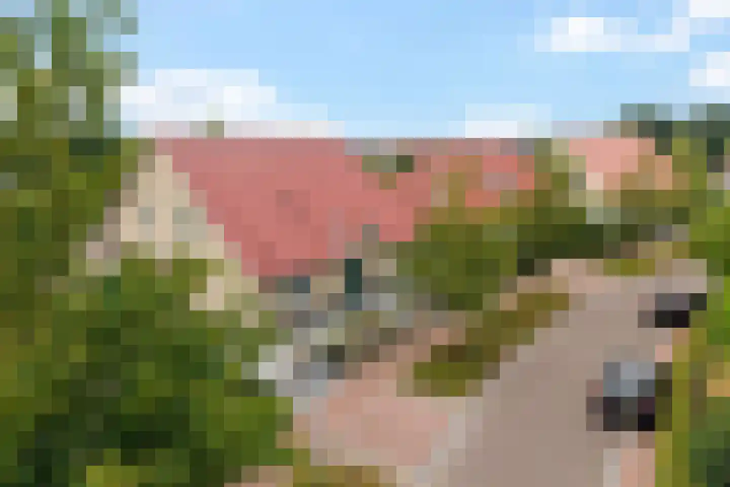 Hendricus Krijthestraat 15 Coevorden thumbnail 55