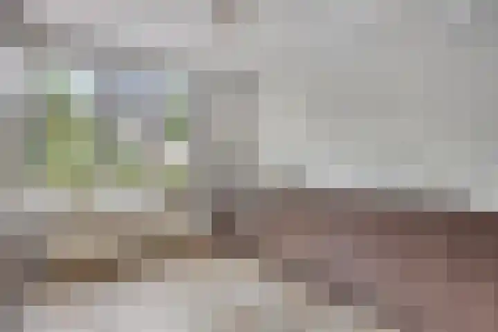 Hendricus Krijthestraat 29 Coevorden thumbnail 11
