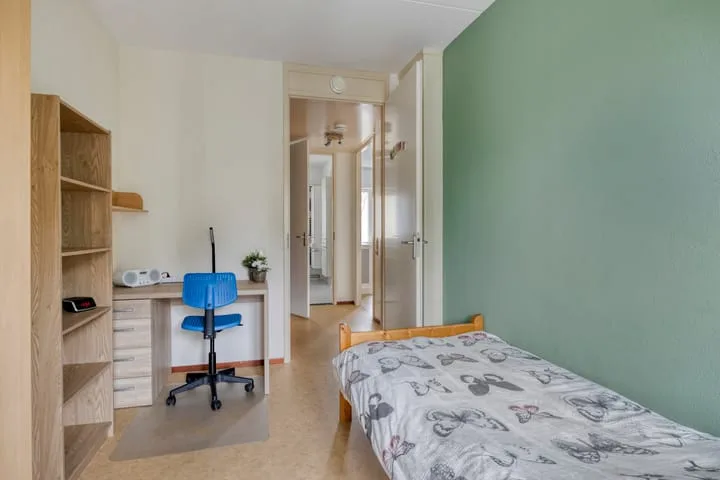 Hendricus Krijthestraat 29 Coevorden thumbnail 22