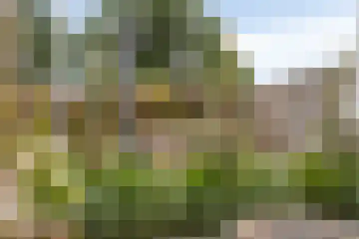 Hendricus Krijthestraat 29 Coevorden thumbnail 38