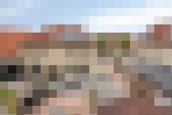 Hendricus Krijthestraat 29 Coevorden thumbnail 42