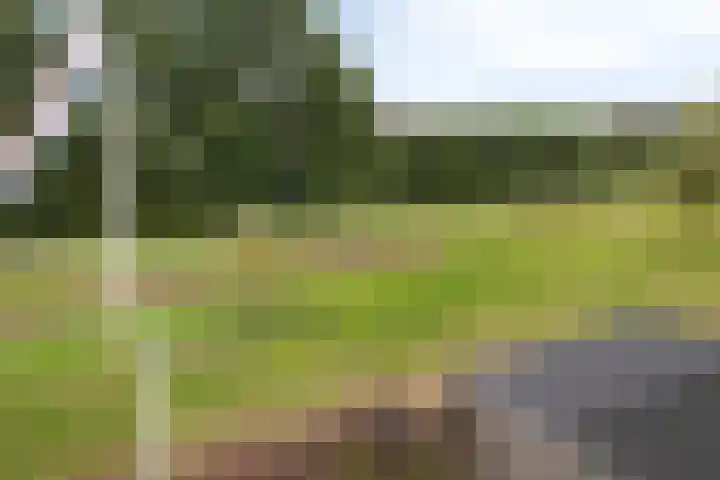 Hendricus Krijthestraat 29 Coevorden thumbnail 45