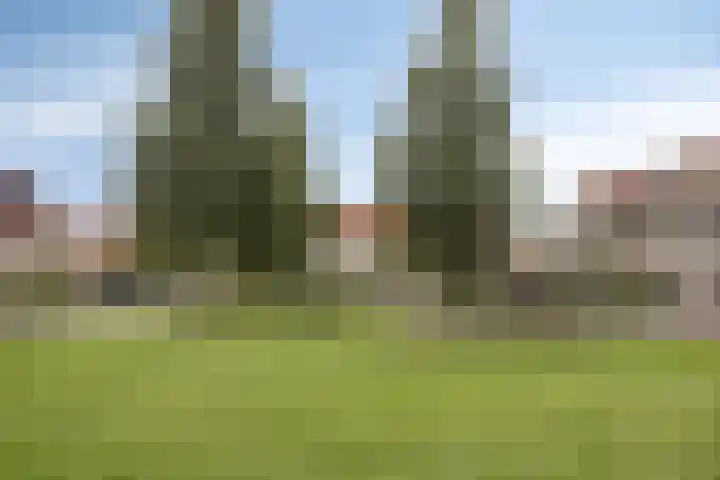 Hendricus Krijthestraat 29 Coevorden thumbnail 46