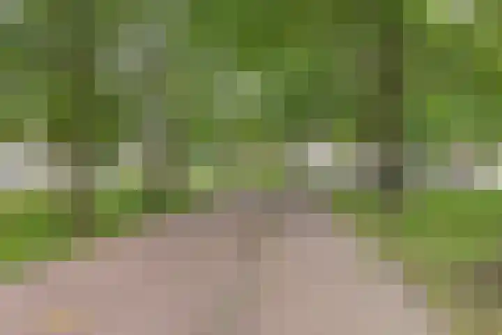 Hendricus Krijthestraat 29 Coevorden thumbnail 5