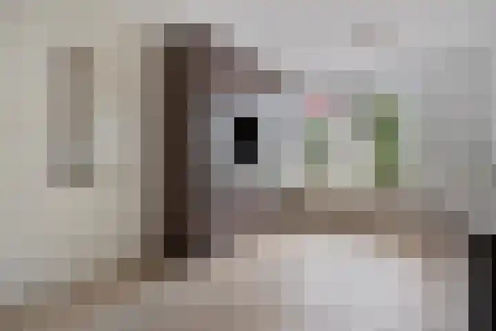 Hendricus Krijthestraat 29 Coevorden thumbnail 9