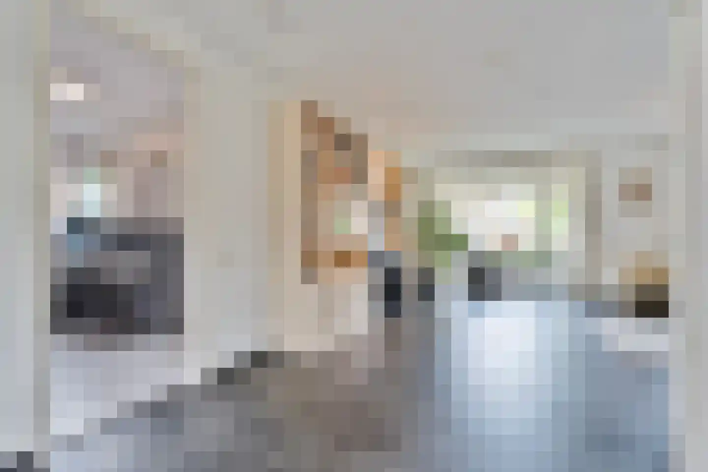 Hendricus Krijthestraat 3 Coevorden thumbnail 13