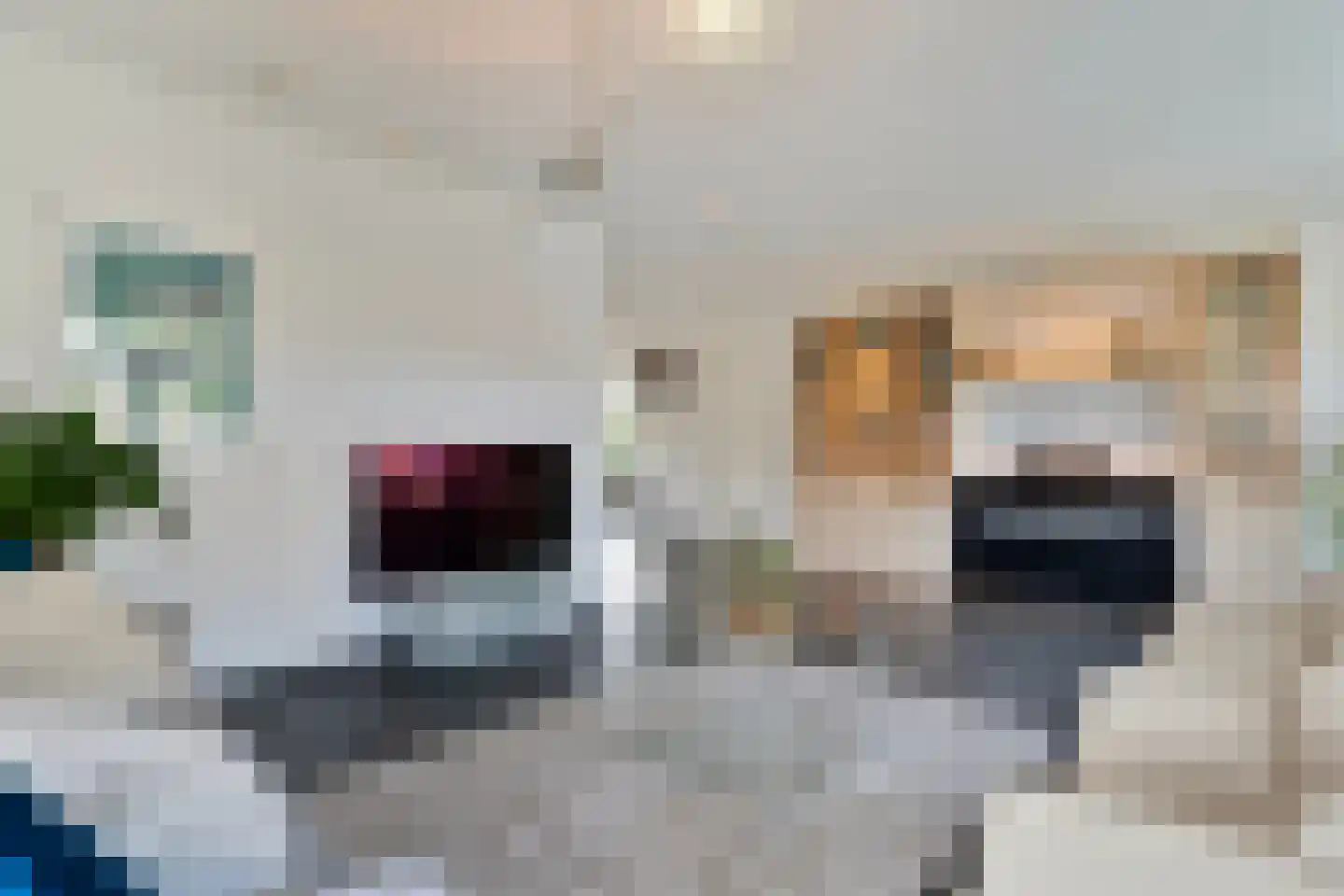 Hendricus Krijthestraat 3 Coevorden thumbnail 17