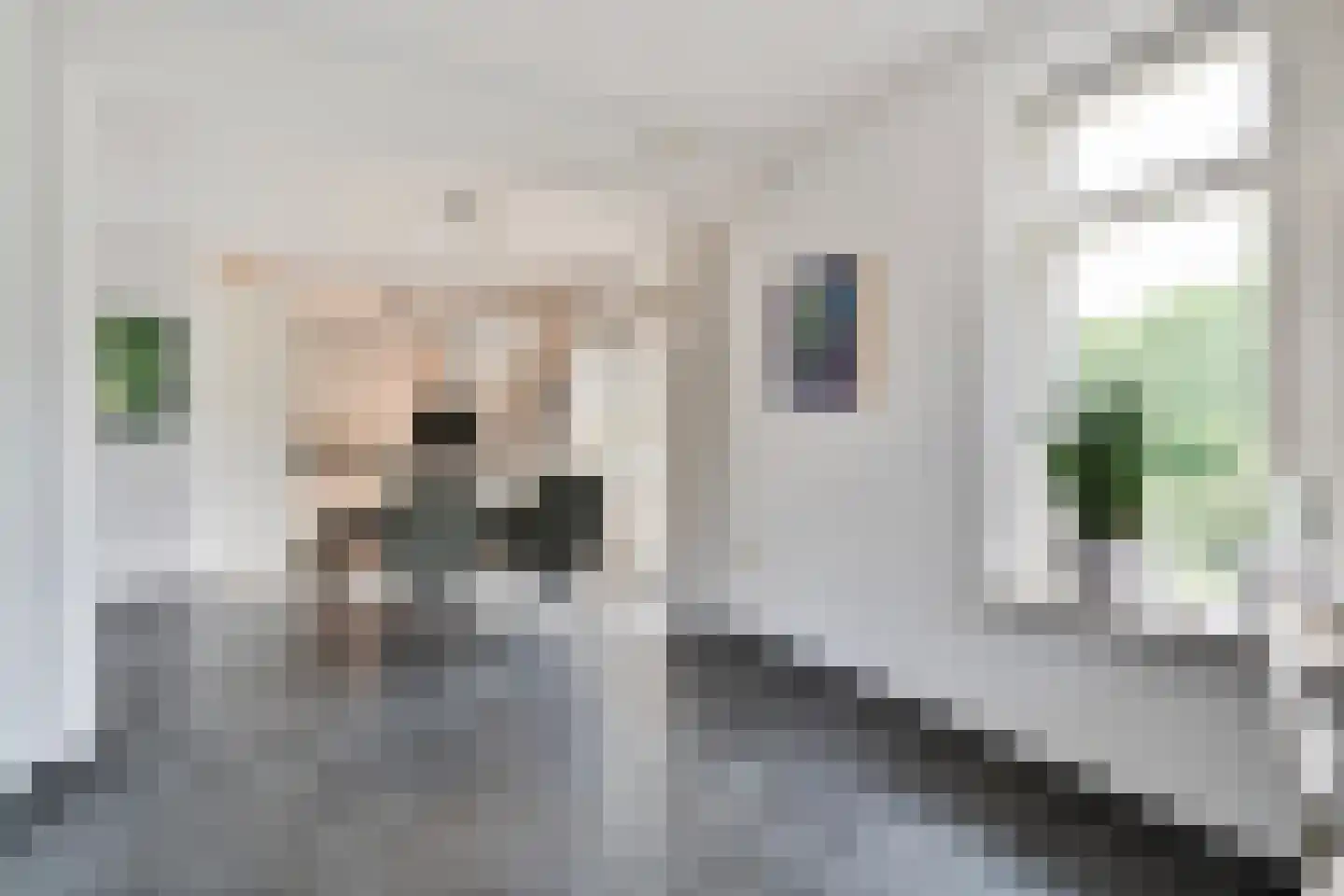 Hendricus Krijthestraat 3 Coevorden thumbnail 22