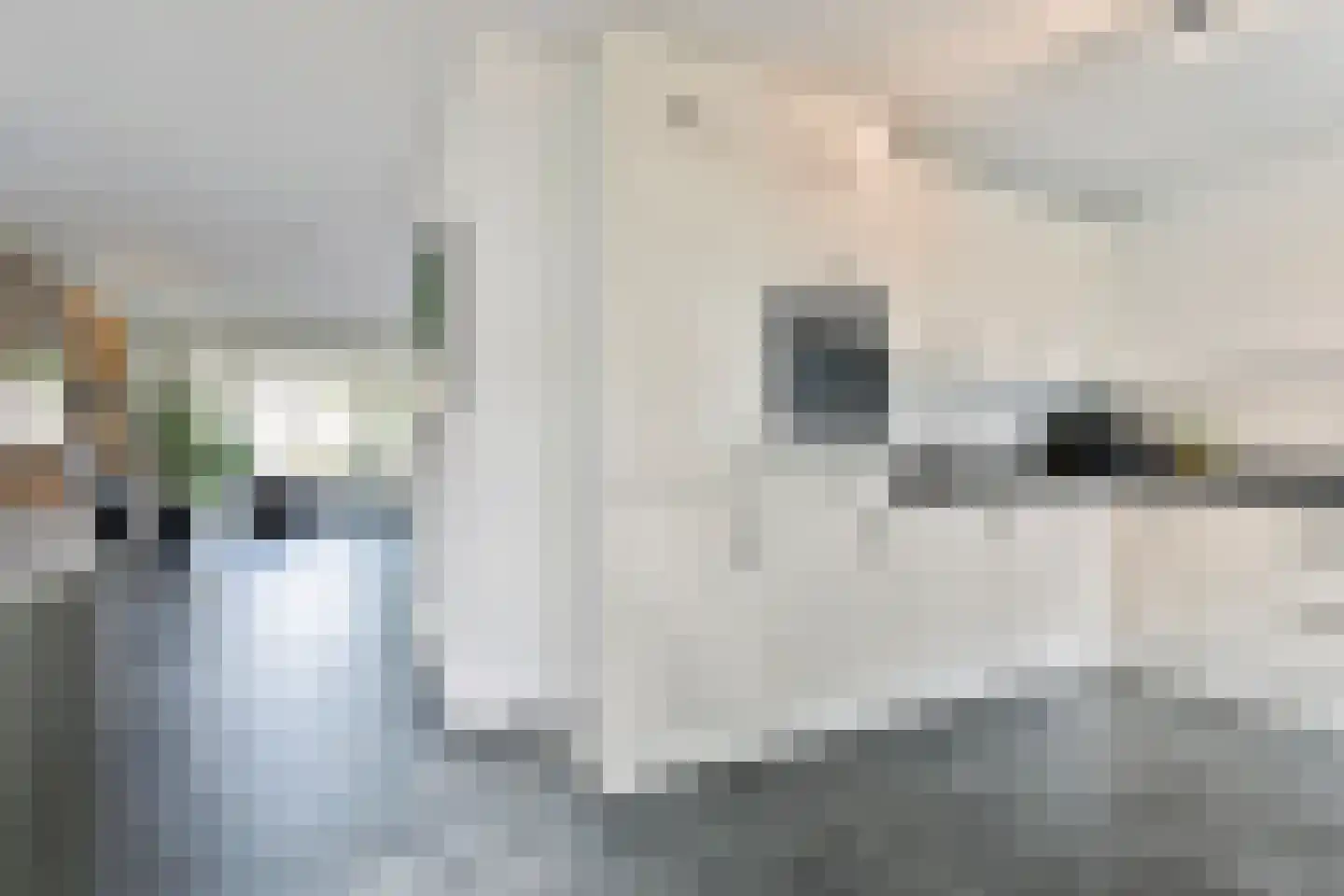 Hendricus Krijthestraat 3 Coevorden thumbnail 24