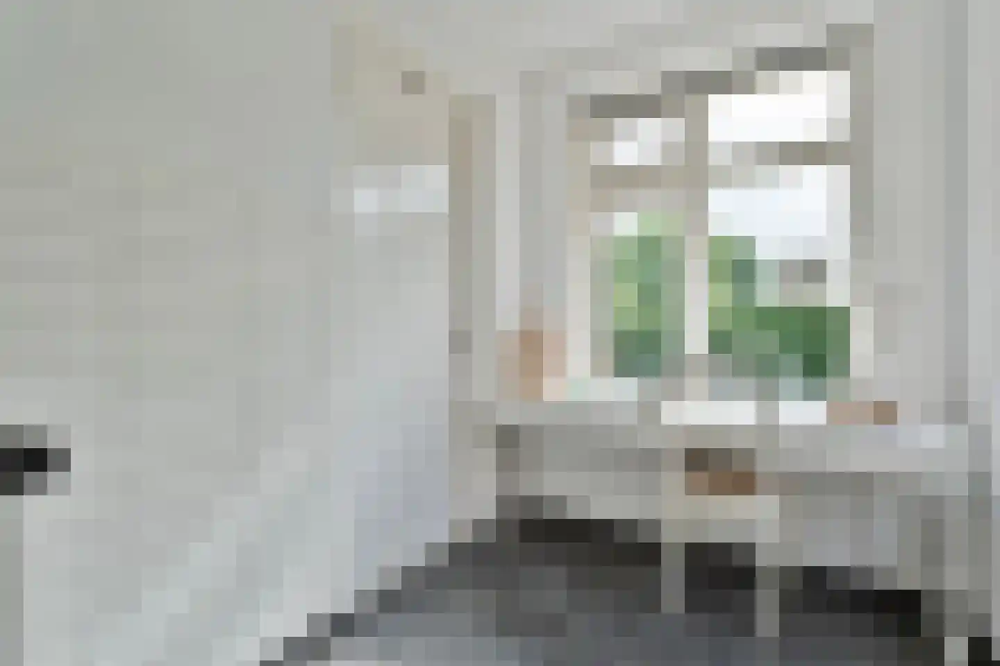 Hendricus Krijthestraat 3 Coevorden thumbnail 28
