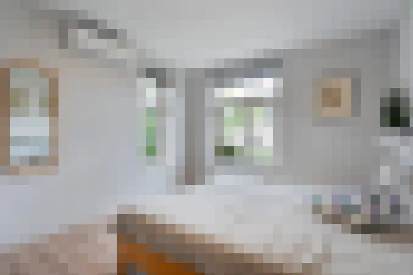 Hendricus Krijthestraat 3 Coevorden thumbnail 29
