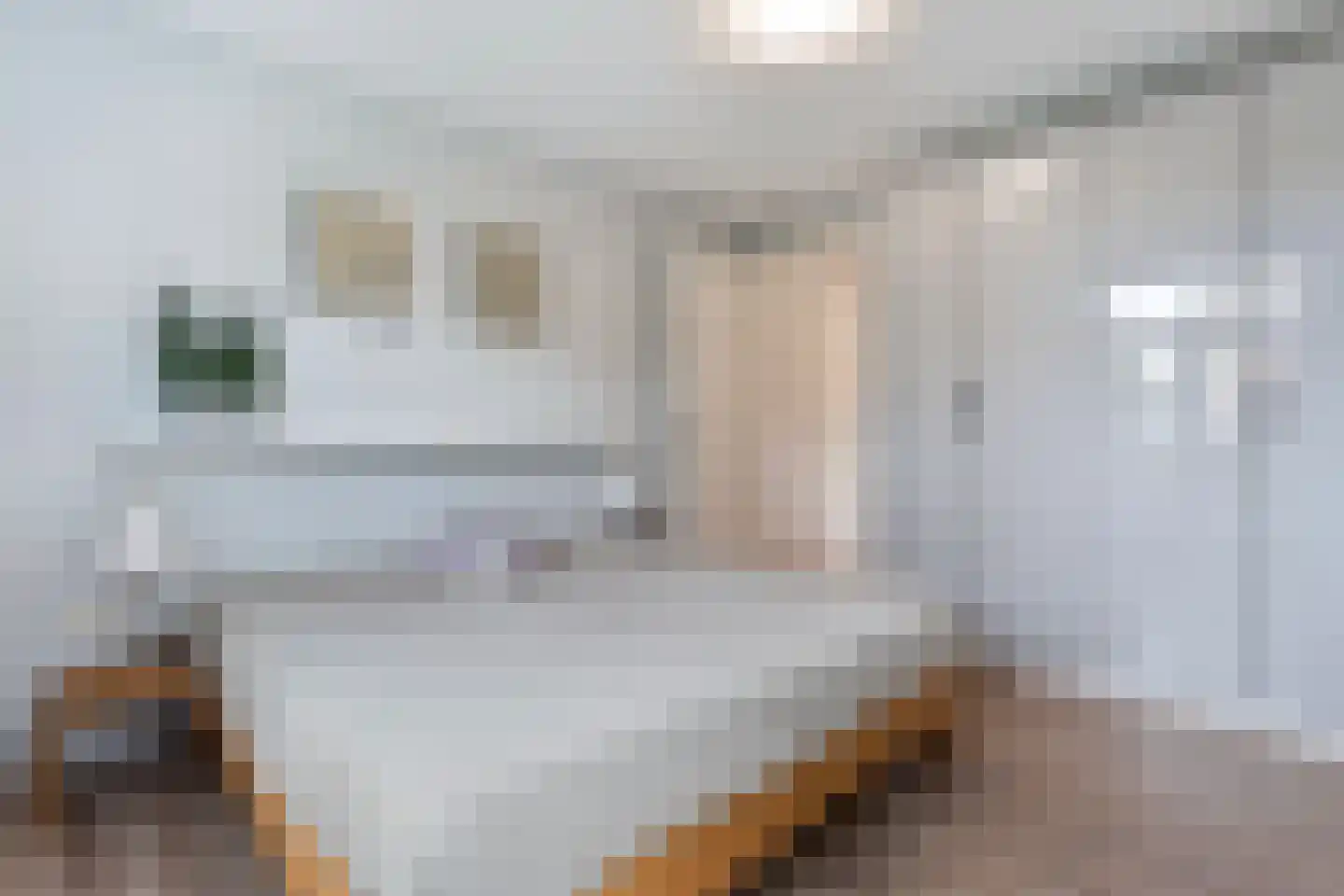 Hendricus Krijthestraat 3 Coevorden thumbnail 30