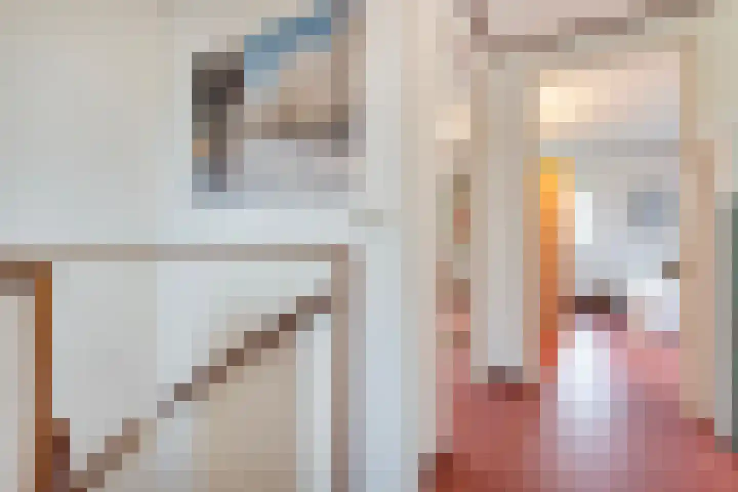 Hendricus Krijthestraat 3 Coevorden thumbnail 35