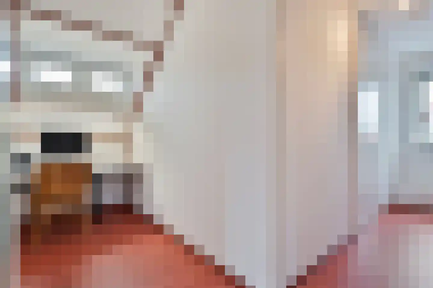 Hendricus Krijthestraat 3 Coevorden thumbnail 36