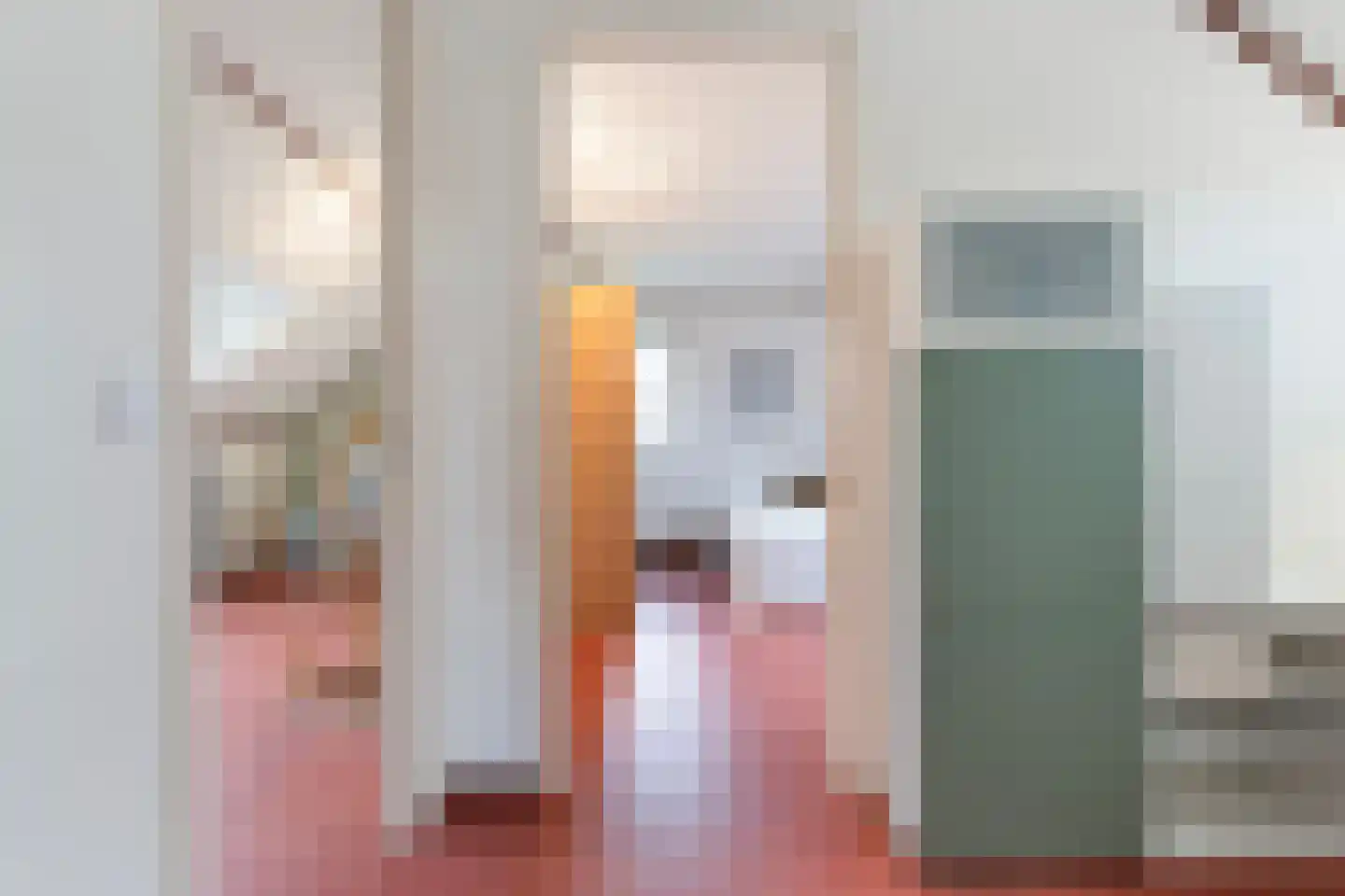 Hendricus Krijthestraat 3 Coevorden thumbnail 38