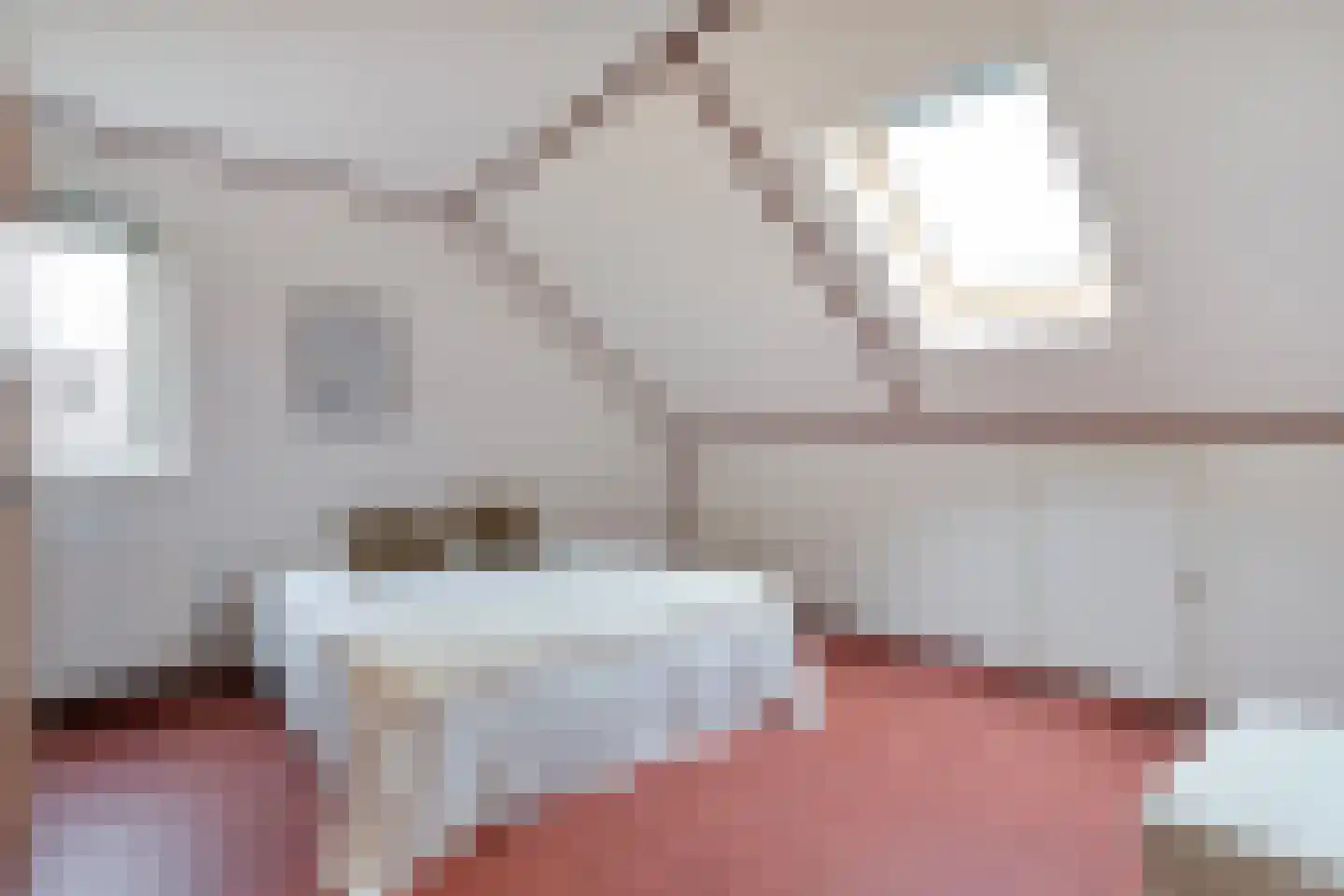 Hendricus Krijthestraat 3 Coevorden thumbnail 39