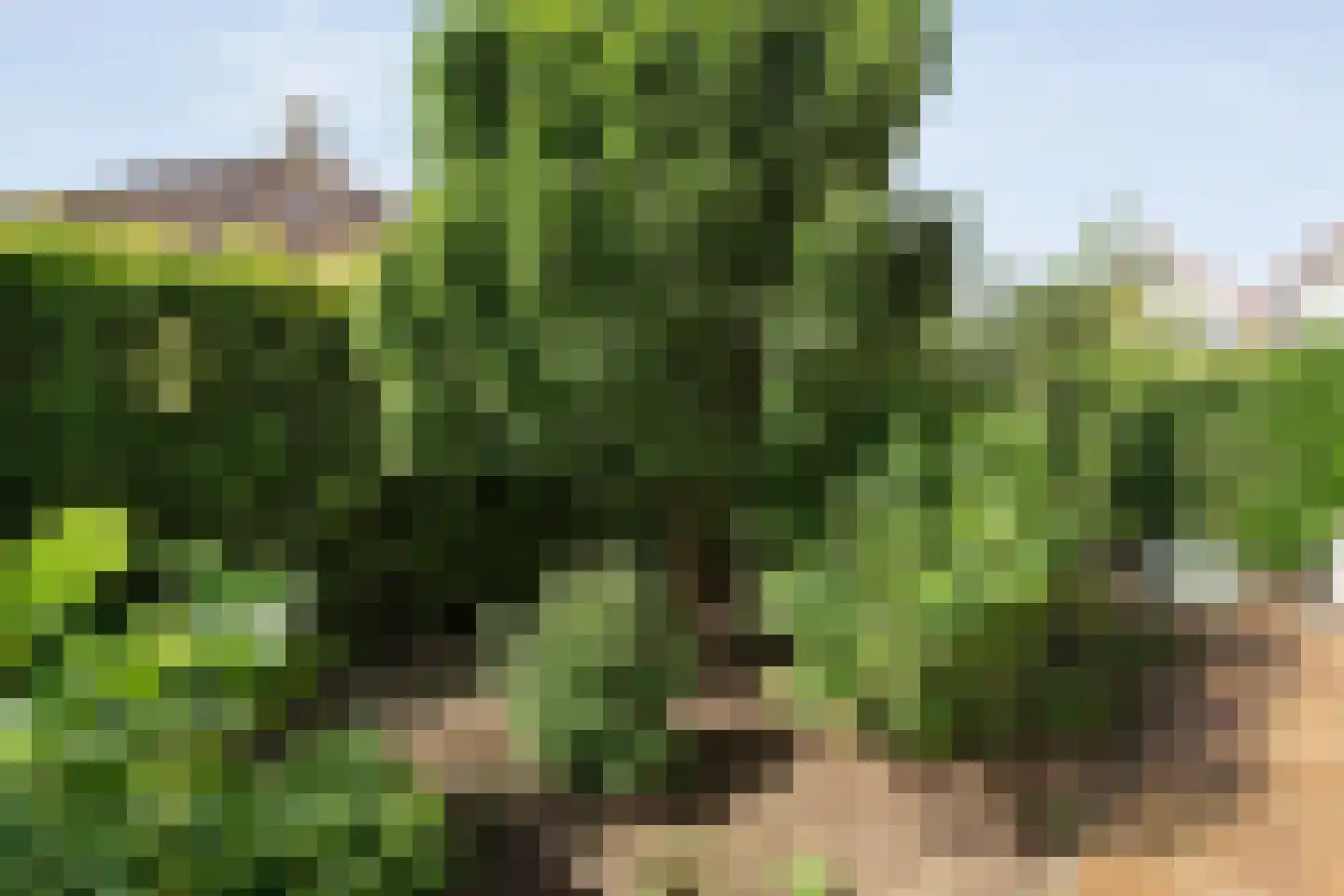 Hendricus Krijthestraat 3 Coevorden thumbnail 48